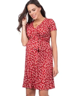 Fashion Seraphine Rotes Florales Umstands- Und Stillkleid